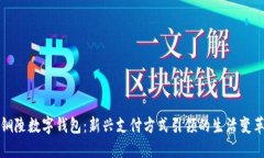铜陵数字钱包：新兴支付