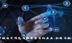 中国电子钱包与数字货币
