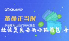 如何有效恢复失去的小狐钱包：全面指南