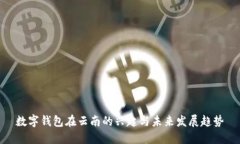 数字钱包在云南的兴起与