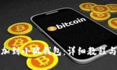如何将屎币添加到小狐钱包：详细教程与常见问