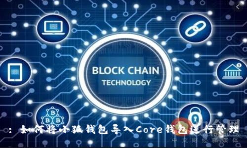 : 如何将小狐钱包导入Core钱包进行管理