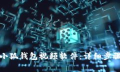 如何安装和使用小狐钱包视频软件：详细步骤与