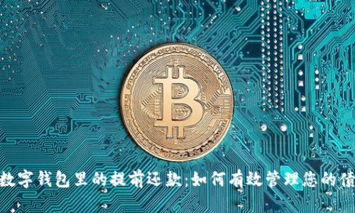 : 数字钱包里的提前还款：如何有效管理您的债务
