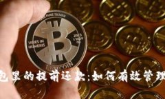 : 数字钱包里的提前还款：