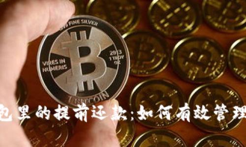 : 数字钱包里的提前还款：如何有效管理您的债务