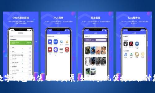 数字钱包的使用与发展：如何实现便捷直接付款