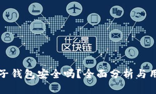 小狐电子钱包安全吗？全面分析与用户指南