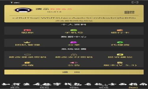 如何查看数字钱包名称：全面指南