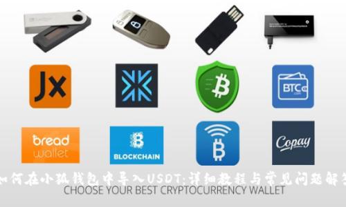 如何在小狐钱包中导入USDT：详细教程与常见问题解答