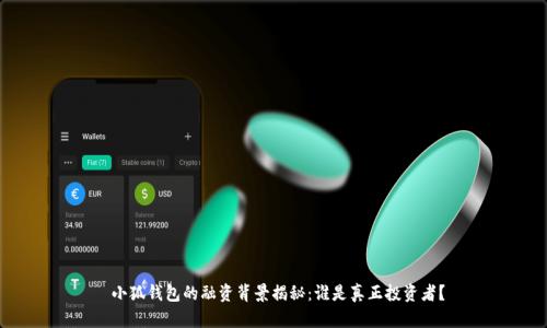  小狐钱包的融资背景揭秘：谁是真正投资者？