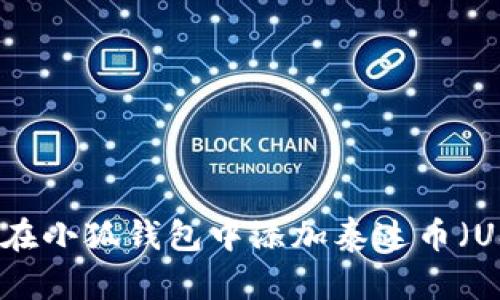 如何在小狐钱包中添加泰达币（USDT）