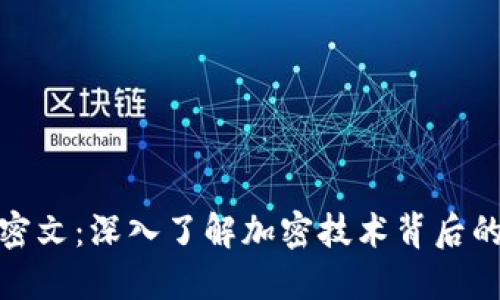 数字钱包密文：深入了解加密技术背后的安全机制
