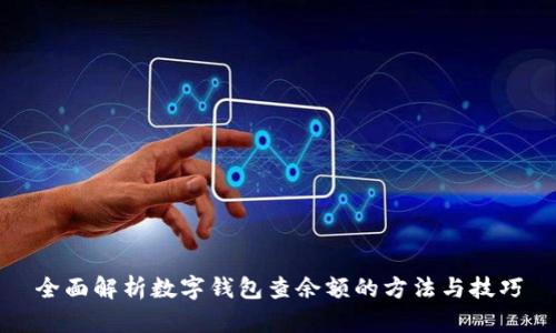 全面解析数字钱包查余额的方法与技巧