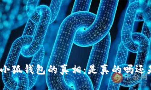 : 揭开小狐钱包的真相：是真的吗还是骗局？