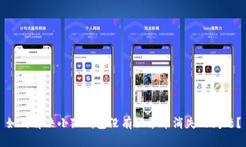 如何解决小狐钱包没有记录币消失的问题？