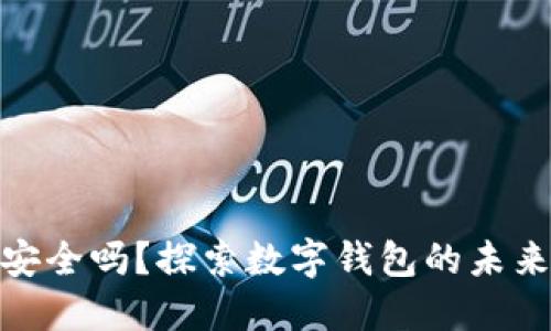 数字钱包安全吗？探索数字钱包的未来与安全性