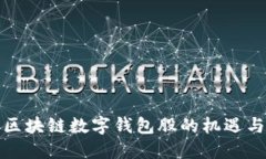 投资区块链数字钱包股的