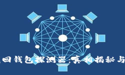 区块链找回钱包探测器：真相揭秘与实用指南