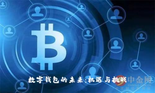 数字钱包的未来：机遇与挑战