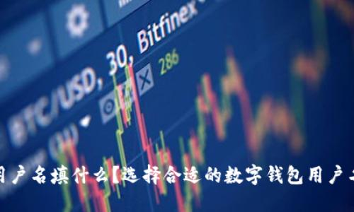 数字钱包用户名填什么？选择合适的数字钱包用户名的重要性