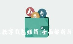 如何通过数字钱包赚钱：全面解析与实用技巧