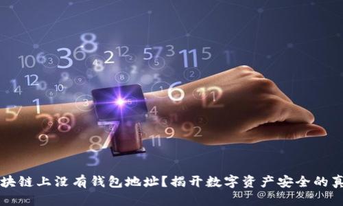 区块链上没有钱包地址？揭开数字资产安全的真相
