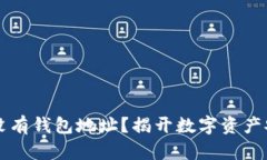 区块链上没有钱包地址？揭开数字资产安全的真