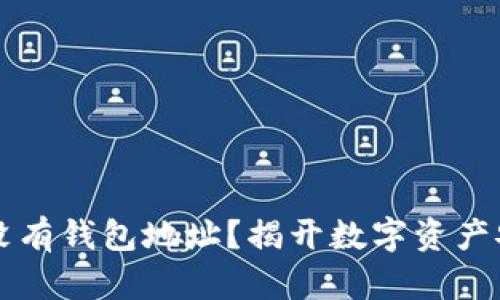 区块链上没有钱包地址？揭开数字资产安全的真相