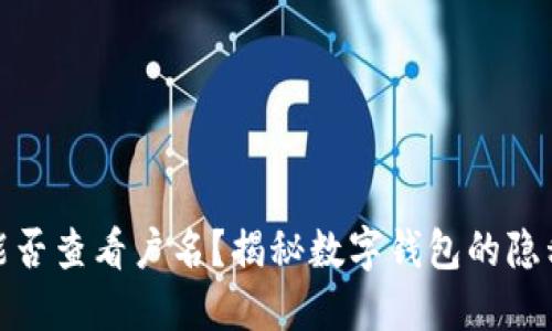 数字钱包能否查看户名？揭秘数字钱包的隐私与安全性