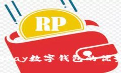 深入解析：BHPay数字钱包的优势与使用体验
