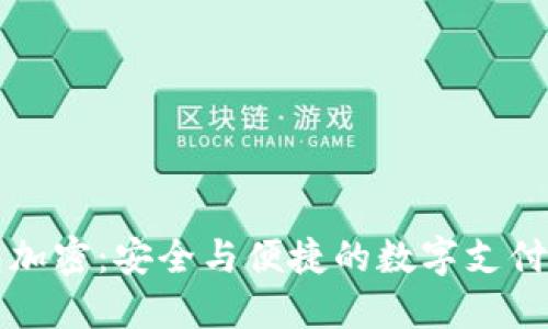 乐天钱包加密：安全与便捷的数字支付解决方案