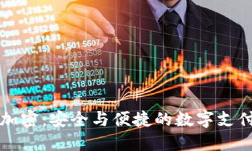 乐天钱包加密：安全与便捷的数字支付解决方案