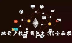 如何安全便捷地开户数字钱包支付？全面指南与