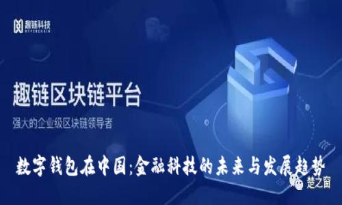 数字钱包在中国：金融科技的未来与发展趋势