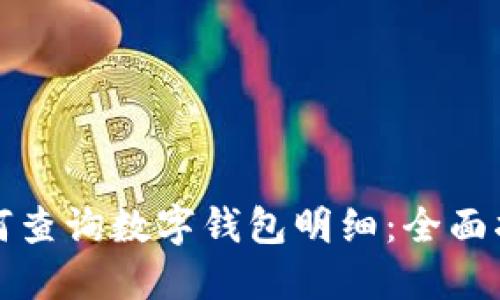 如何查询数字钱包明细：全面指南