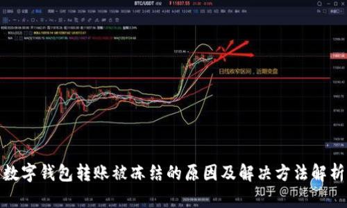 数字钱包转账被冻结的原因及解决方法解析