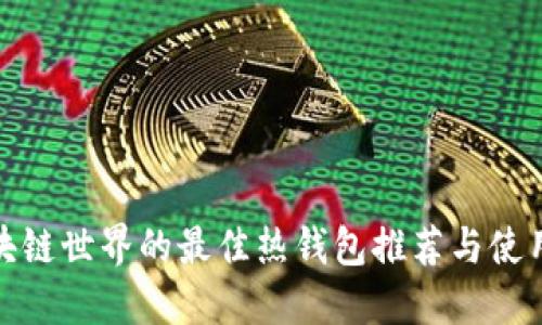 : 区块链世界的最佳热钱包推荐与使用指南