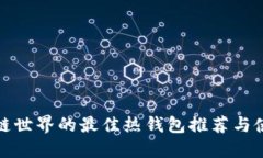 : 区块链世界的最佳热钱包推荐与使用指南