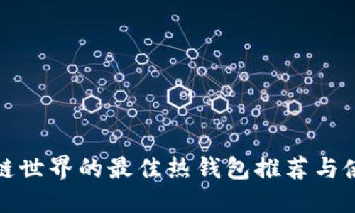 : 区块链世界的最佳热钱包推荐与使用指南