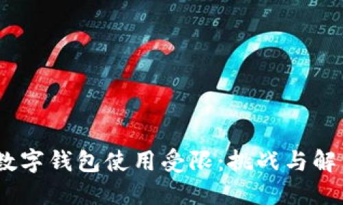 :为何数字钱包使用受限：挑战与解决方案