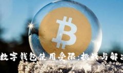 :为何数字钱包使用受限：挑战与解决方案