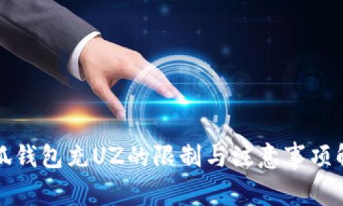 小狐钱包充UZ的限制与注意事项解析