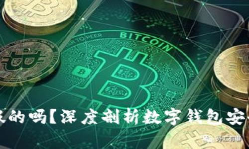 小狐钱包也有假的吗？深度剖析数字钱包安全性与防范技巧
