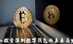 深入探索深圳数字钱包的