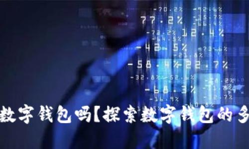 一人可以开多个数字钱包吗？探索数字钱包的多样性与管理策略