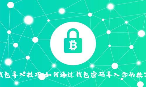 数字钱包导入技巧：如何通过钱包密码导入你的数字钱包