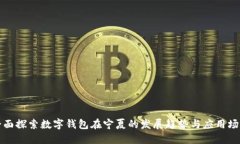 全面探索数字钱包在宁夏
