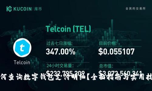 如何查询数字钱包支付明细？全面指南与实用技巧