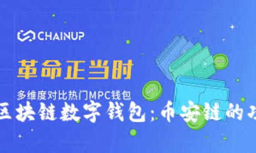 全面解析区块链数字钱包：币安链的功能与应用